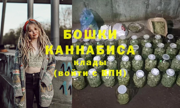 мдпв Волоколамск