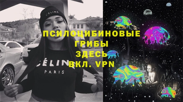 мдпв Волоколамск