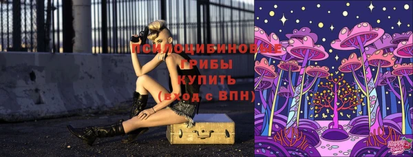 мдпв Волоколамск