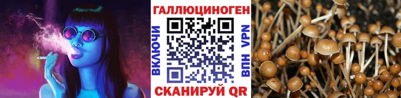 Галлюциногенные грибы Cubensis  закладка  Черняховск 